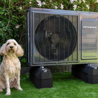 Hond staat naast een Intergas warmtepomp in de tuin